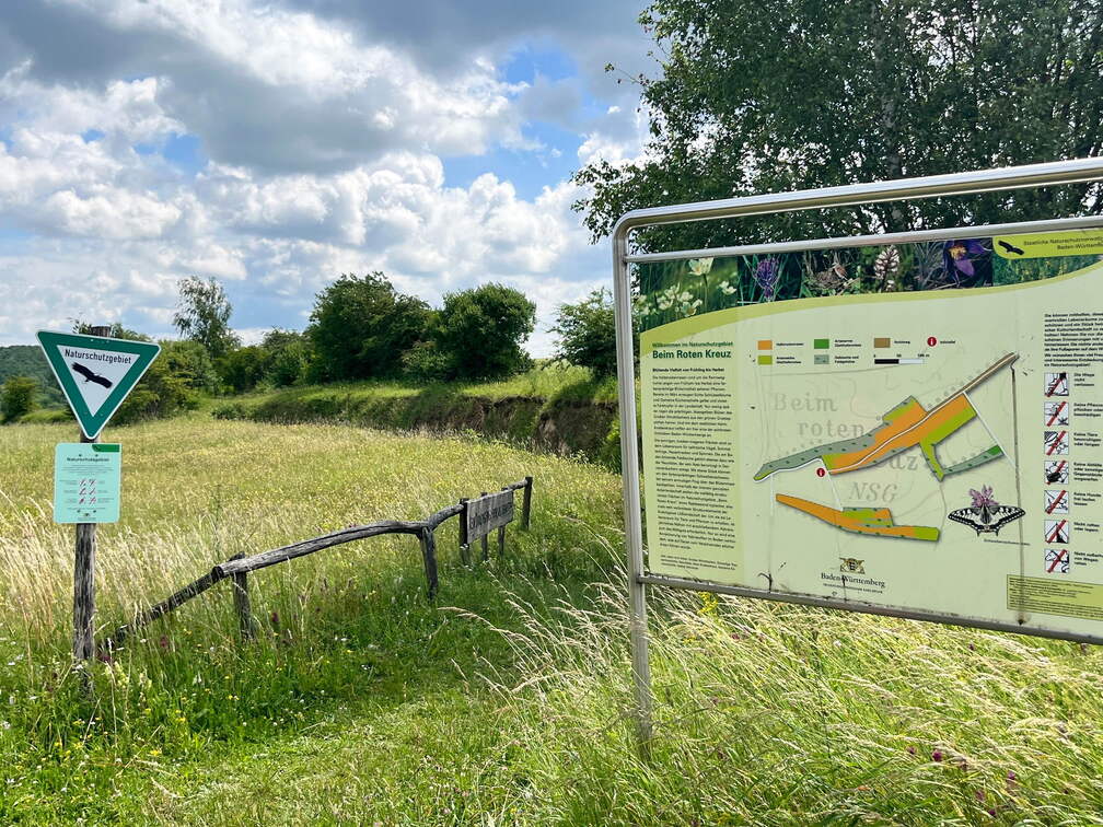 22-06-06 11-26-40 1056